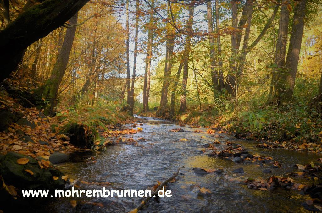 Hotel & Cafe Mohrenbrunnen أيزنبرغ المظهر الخارجي الصورة